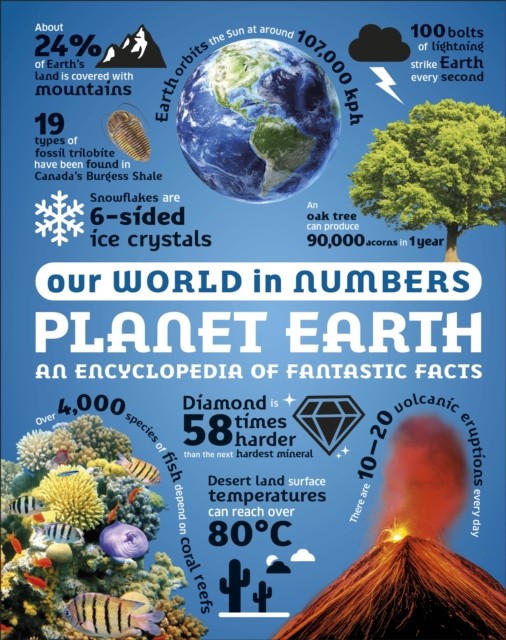 Our World in Numbers Planet Earth by DK HARDBACK - Image 5