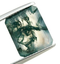 Top Quality Moss Agate Faceted Cut Octagon 12X10mm Wholesale Gemstone 4.60 Ct.