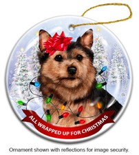 All Wrapped Up Ornament - Black and Tan Norwich Terrier