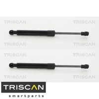 2X Gasfeder FüR Koffer-/Laderaum Triscan 8710292035 DäMpfer GasdäMpfer
