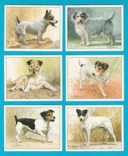 DOGS - JACK RUSSELL TERRIERS - SET  OF  L6  CARDS - IMP.  PUBLISHING LTD. - 1999