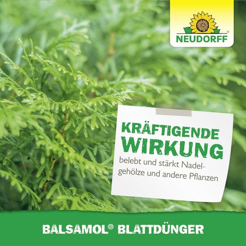 Neudorff Balsamol Blattdünger 250 ml Dünger Blätter Hecken Koniferen Immergrüne - Afbeelding 6 van 6