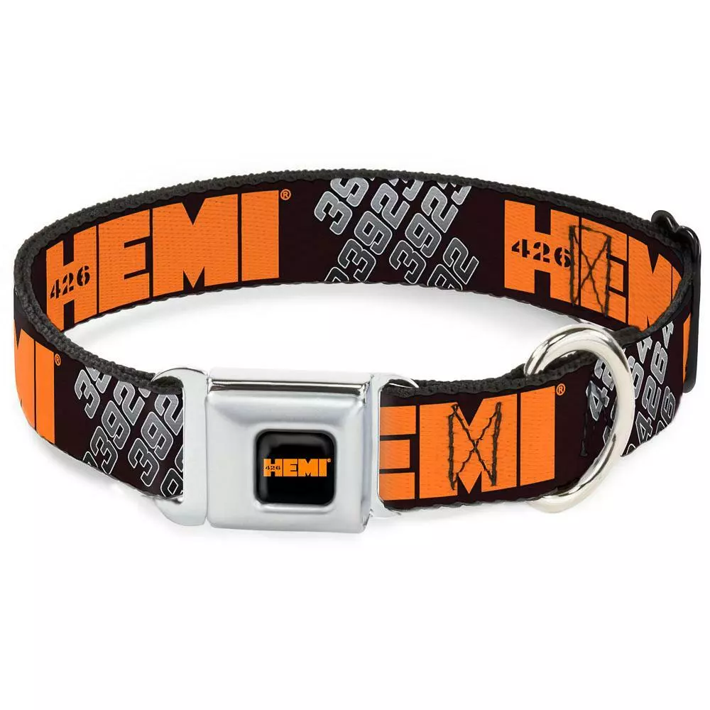 Dog top belt online
