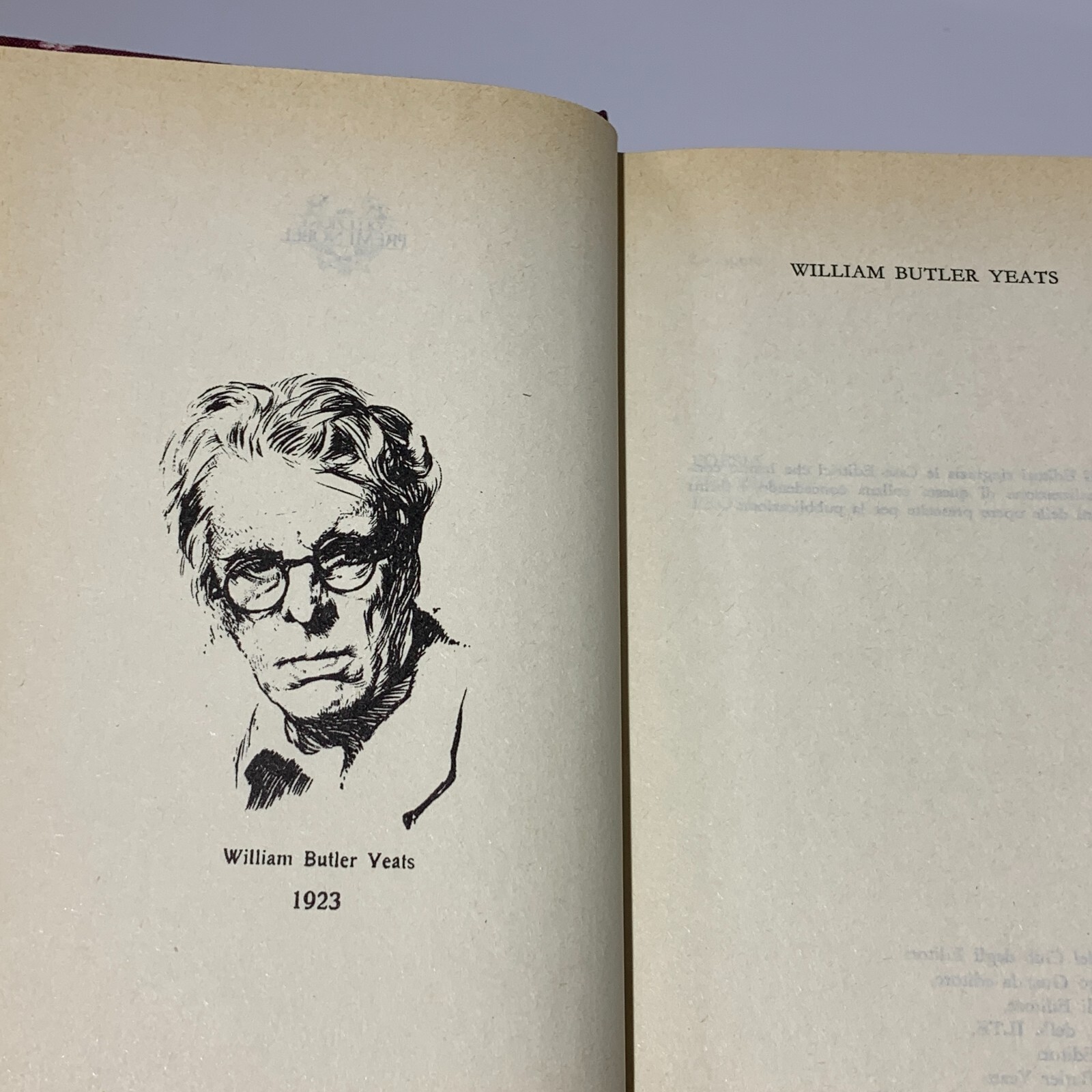 William Butler Yeats Opere Club degli editori Collezioni Premi Nobel 1923 - immagine 4