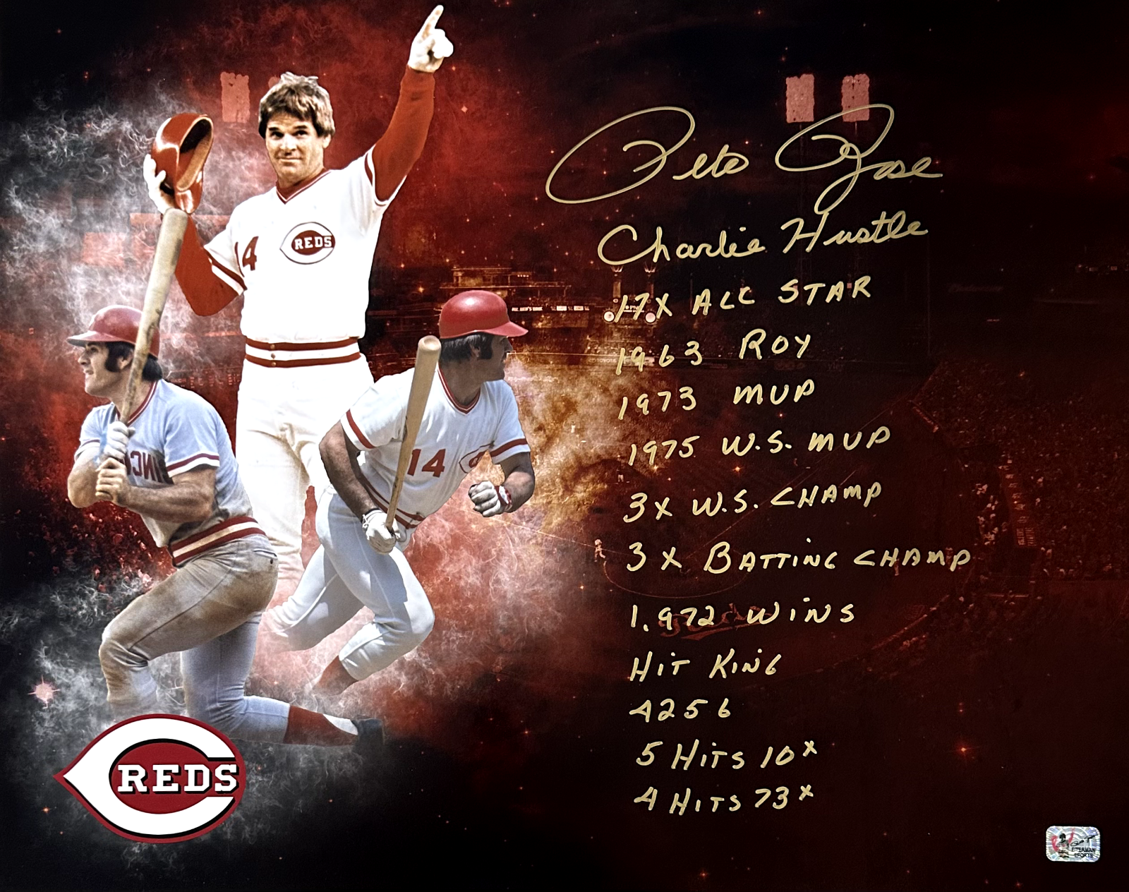 Pete Rose Autographed Signed Cincinnati Reds 16x20 Photo Exclusive Authen #10 w/12 inscrip 