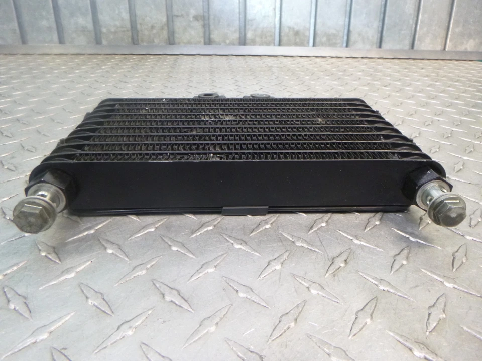 Enfriador de aceite de motor Hyosung Aquila GV250 2008 Foto 2 de 4