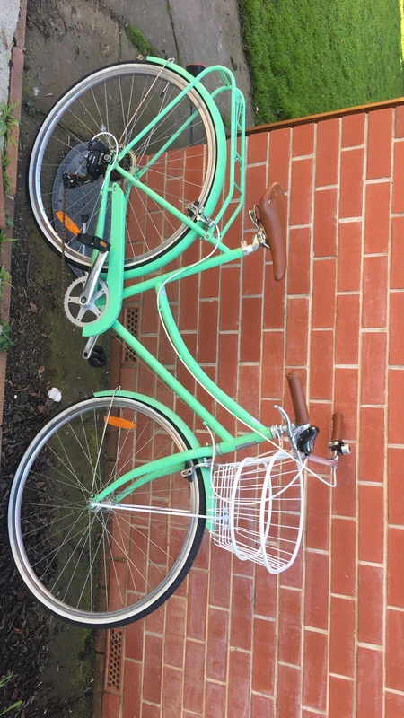gumtree reid bike