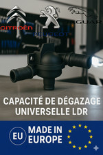 Capacité de Dégazage LDR–Citroën, Peugeot, DS, Opel, Ford, Jaguar...🇪🇺