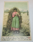 Vintage Black Americana Postcard Detroit Publishing Polly in Peanut Patch 1908 — photo 1