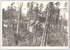 1950-60s Black & White Photo Of Some Cabins In The Woods After Some Storm Damage