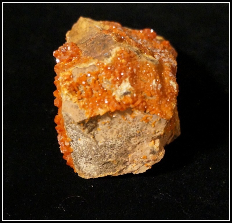 Picture 6 of 6