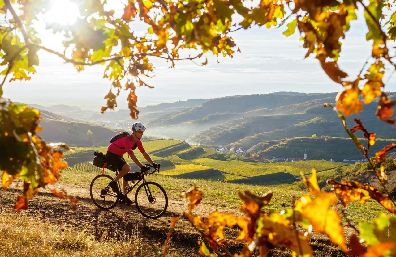 Thumbnail - Lonely Planet Bildband Legendäre Radtouren In Deutschland ...