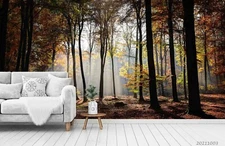 3D Autumn Forest Sunlight Wallpaper Wall Mural Removable Self-adhesive Sticker42