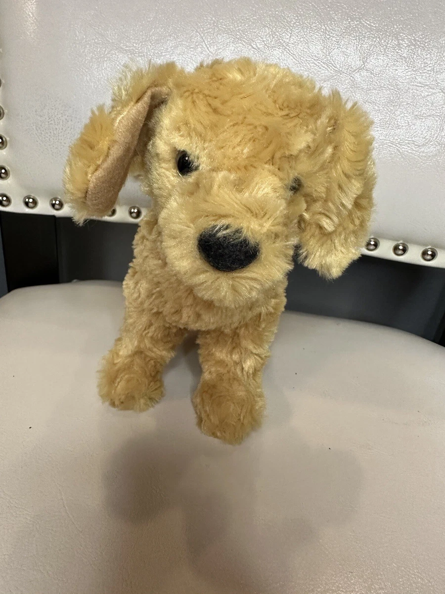 Goldendoodle mutt sales