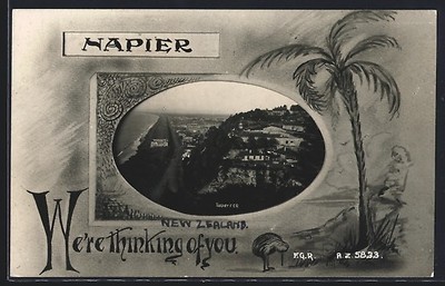 Napier, General View, Kiwi under a palm tree, Ansichtskarte 