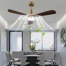 6-Gears Ceiling Fan Light LED Ceiling Fan with Light Remote Control Fan Light