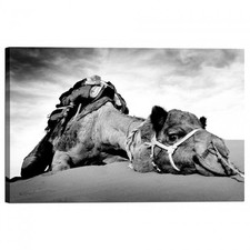 Quadro Stampa su Tela con Telaio Cammello nel Deserto