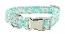 Dog Collar, Daisy Flower, Turquoise Blue, Adjustable, Small Medium