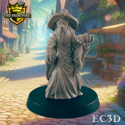 Hedge Wizard | Elderly Retired Sorcerer | Dungeons and Dragons NPC Figure | Path