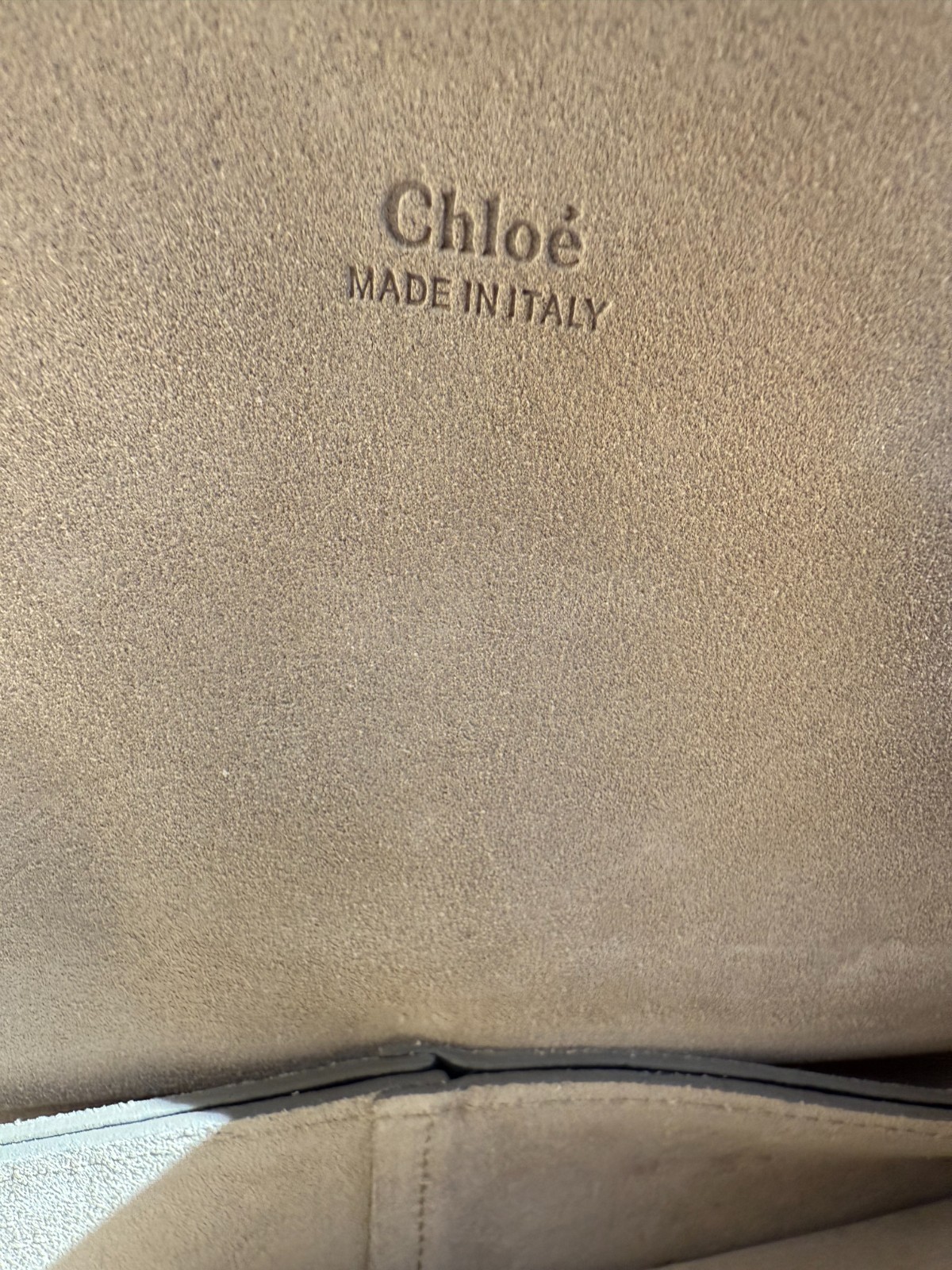 Chloe Limited Edition RARE Python Medium Faye bla… - image 15