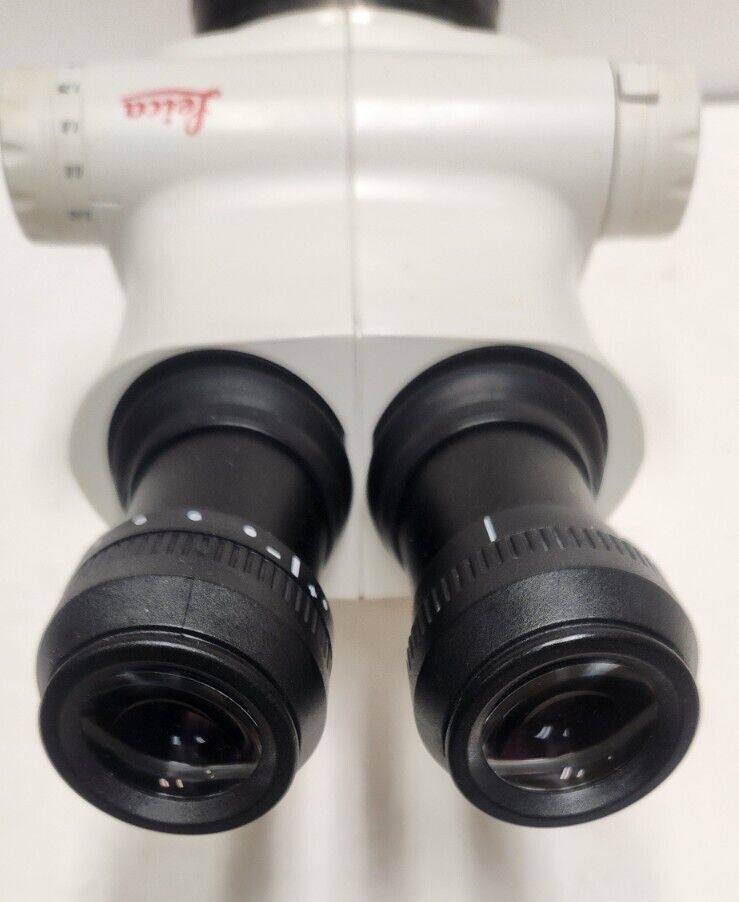 LEICA S6E Stereo Zoom Microscope 10446294 w/ lenses eBay