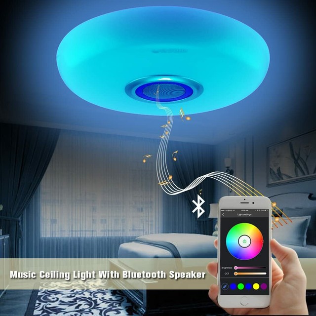 ceiling smart speaker