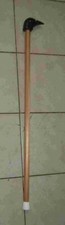 CARVED WOOD "OLD CROW" WALKING STICK, Cane- 34-36"L  1" Dole