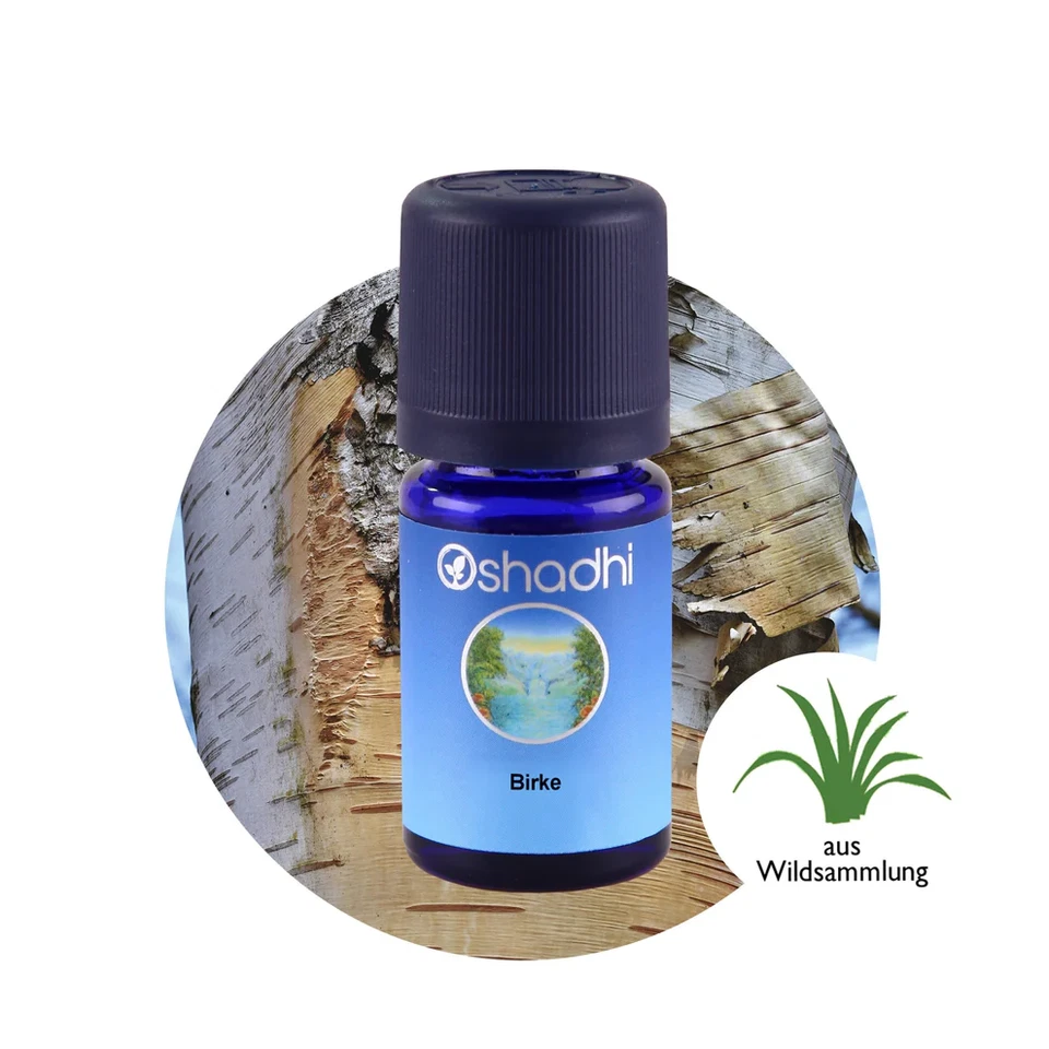Oshadhi Birke Birkenöl 5ml Wildsammlung ätherisches Öl 100% naturrein