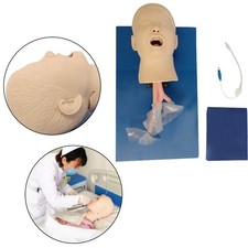 Intubation Manikin Study Teaching Child Model Airway Management Trainer For Lab
