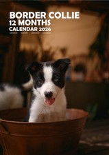 Calendari Border Collie 2026 (A3)