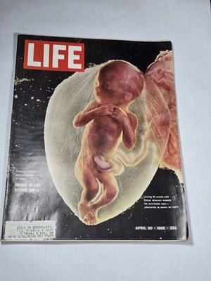 Life Magazine April 30, 1965 Drama of Life before Birth