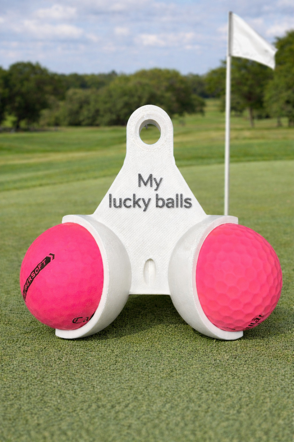 Funny 3D Printed Golf Ball Holder!- Customize w/ name, phrase! - Great gift!