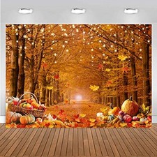 7x5ft Fall Photography Backdrop Autumn Maple Forest Photography Backdrop 7  x5  