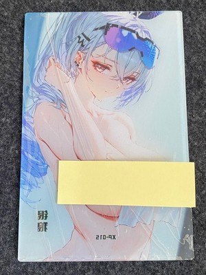 Starlight 2 Goddess Spicy Waifu A6 Acrylic Board Honkai Star Silver Wolf XP 15