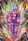 Son Gohan SH GDR Parallel Dragon Ball Super Divers card SDV11-050 Japanese