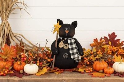 Honey and Me Halloween Midnight the Cat