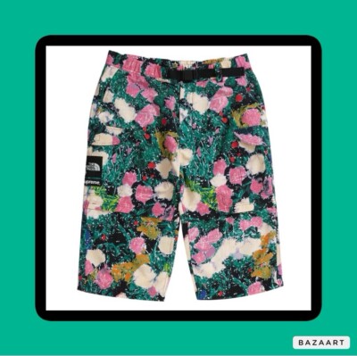 Supreme The North Face Trekking Zipped-Off Belted Pants Floral