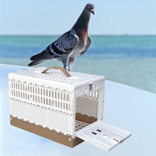 Pigeon Cage Folding Pet Bird Flight Pairing Cage Pigeon Training Cage for - Picture 5 of 6