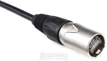 Pro Co 10' Shielded Cat 5e Ethercon Cable - Afbeelding 10 van 10