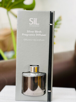 Luxus kultiger Raumduft Diffuser Silber Birke Schilf Diffuser 5 Sticks Geschenk