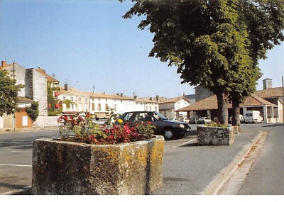79.AM10398.Chef-Butonne.Centre Ville.Edit Dubray.416/79.CPSM 15x10 cm