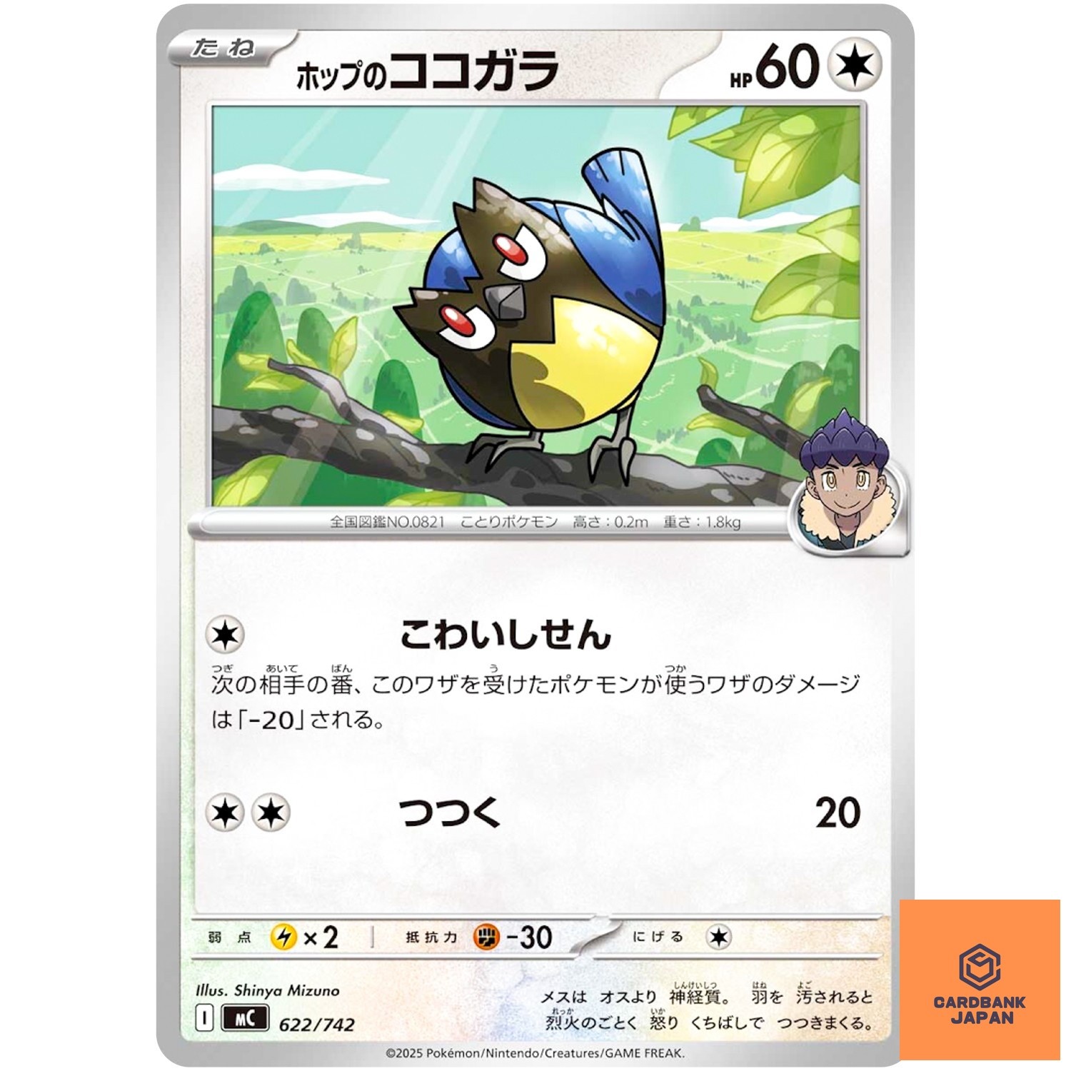 Hop's Rookidee 622/742 MC Start Deck 100 Battle Collection Pokemon Card Japan NM