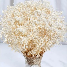 4000 Dried Babys Breath Flowers 17 Inch Ivory White Gypsophila Bouquet