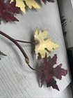 Vedar Gurta Metal Artistry Maple Leaf Wall Sculpture — photo 8