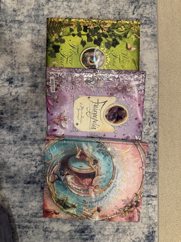 Flower Fairies Fantasy Pop-Up Book Lot: How to Find, Fairyopolis, Magical Doors 