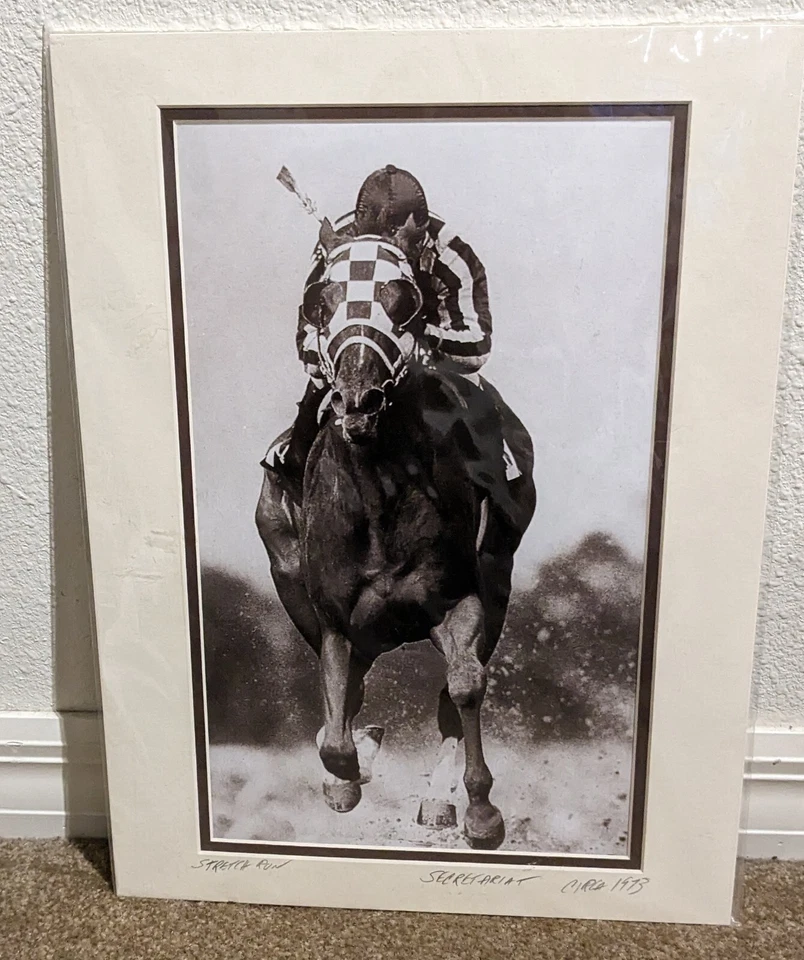 Secretariat Stretch Run Print 16 x 12 mate 1973 nuevo precintado Foto 2 de 4
