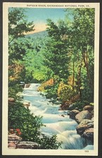 Virginia Rapidan River Shenandoah National Park Vintage Postcard Unposted
