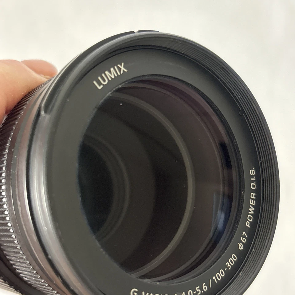 Panasonic LUMIX G VARIO 100-300mm F/4-5.6 Power O.I.S. Lente zoom con tapas y bolsa Foto 3 de 4