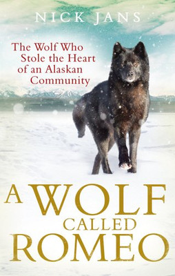 Ein Wolf namens Romeo