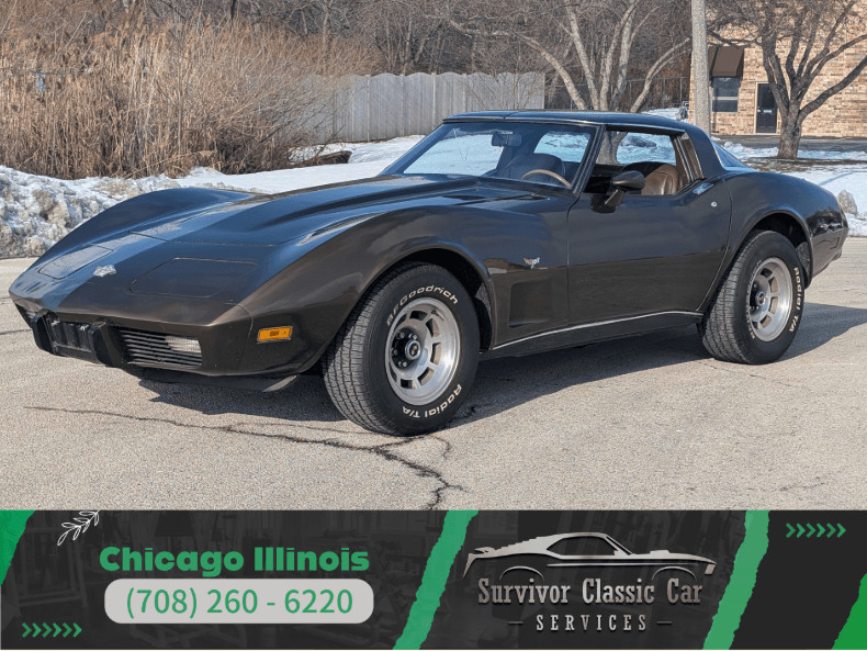 1978 Chevrolet Corvette for sale in Homer Glen Illinois